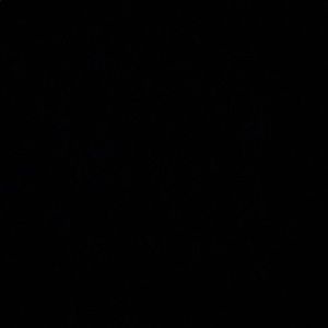 Meet your Posher, Marcellus